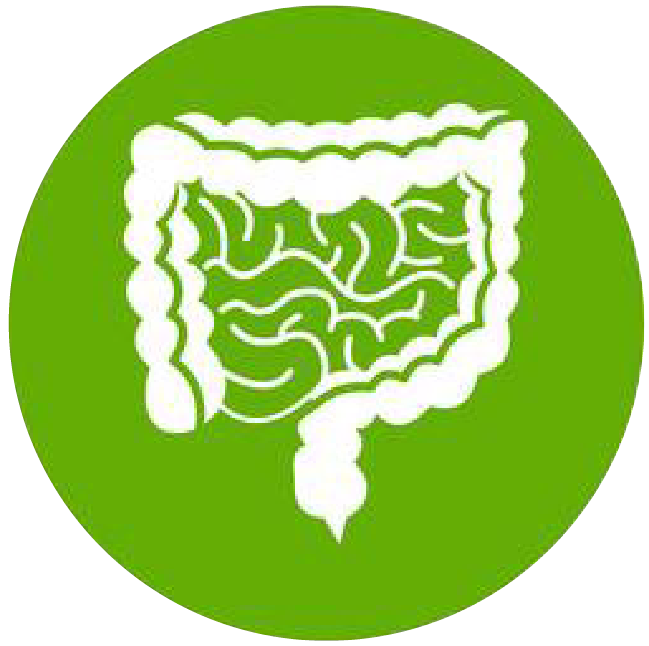 關(guān)注職場“腸”態(tài)，守護員工健康——上海格瑞特特邀消化內(nèi)科專家公益系列講座（4）(圖1)