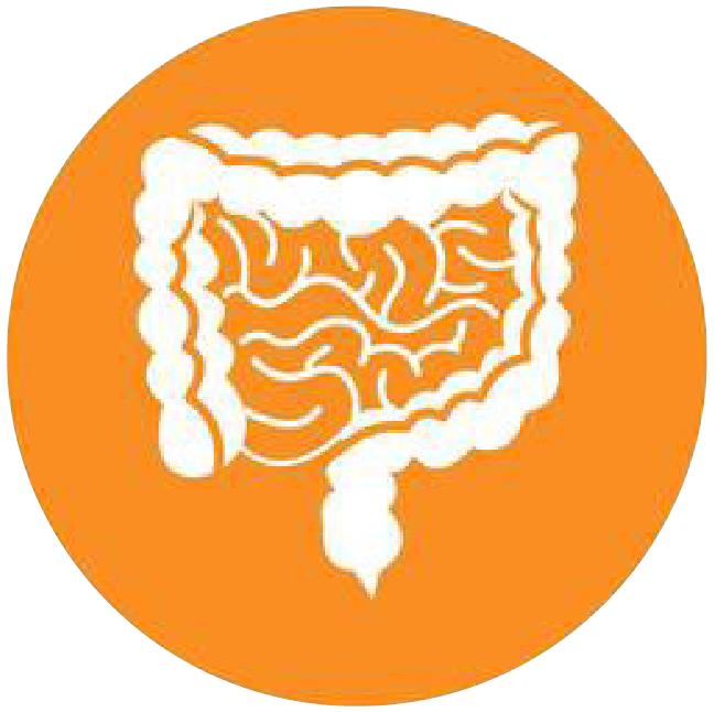 關(guān)注職場“腸”態(tài)，守護員工健康——上海格瑞特特邀消化內(nèi)科專家公益系列講座（4）(圖4)